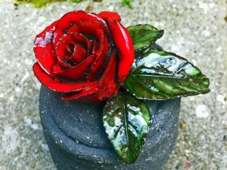 Колокольчик Сицилийская роза