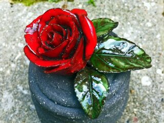 Колокольчик Сицилийская роза